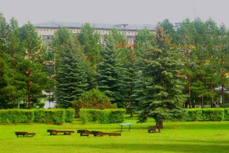 Внешний вид