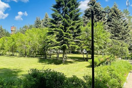 Территория