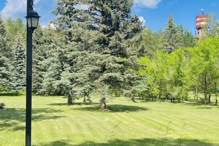 Территория