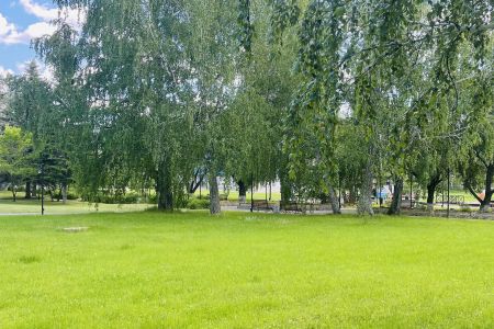 Территория