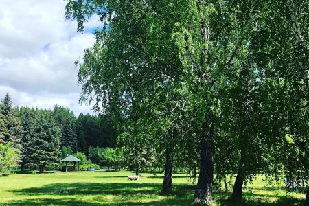 Территория