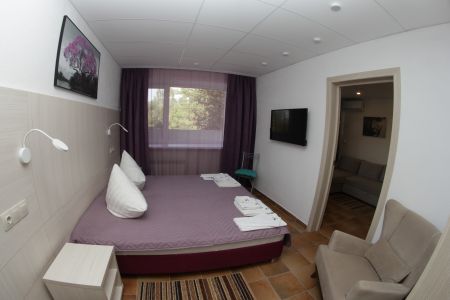 Стандарт 2-местный