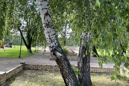 Территория