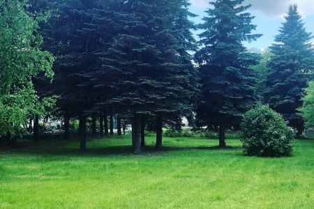 Территория