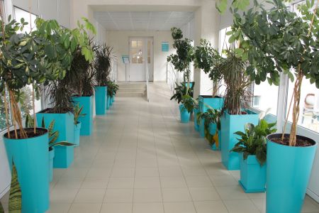 Термальное озеро