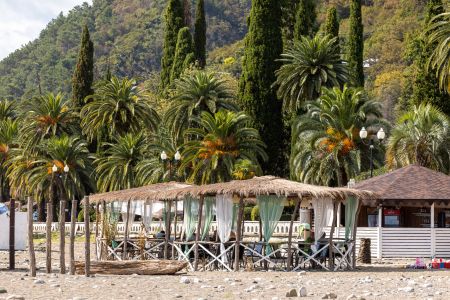 Виды из отеля