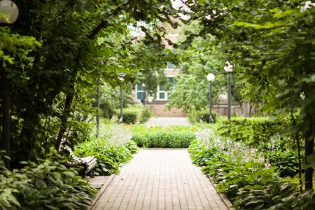 Внешний вид