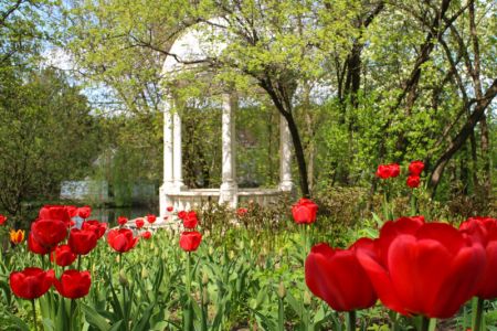 Внешний вид