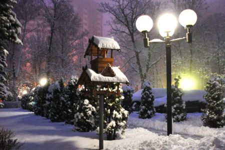 Внешний вид