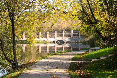 Внешний вид