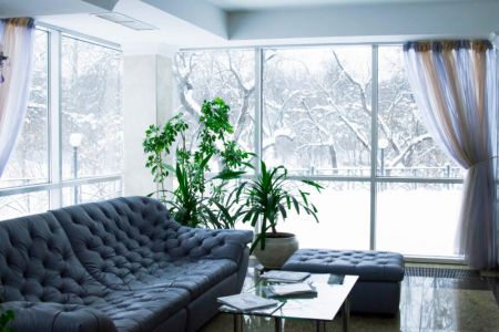 Внешний вид