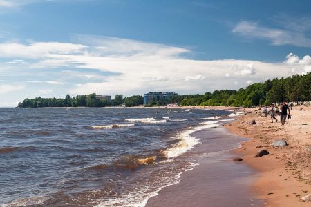 Внешний вид