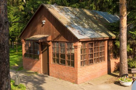 Внешний вид