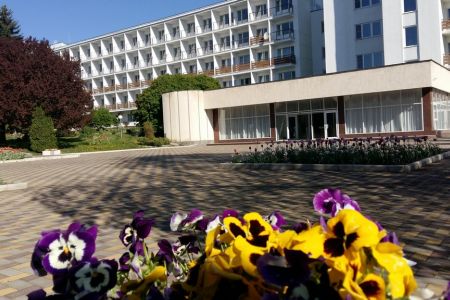 Внешний вид