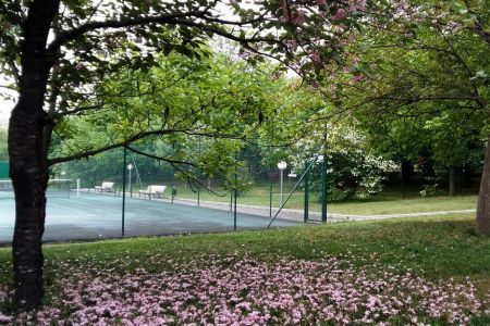 Внешний вид