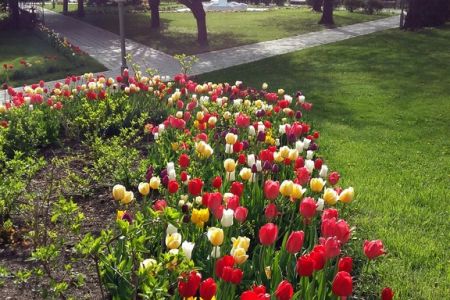 Внешний вид