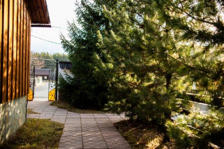 Внешний вид