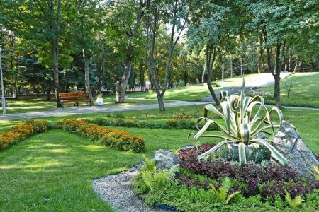 Территория