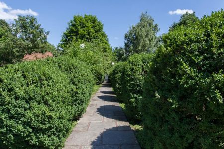 Внешний вид