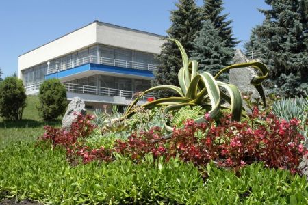 Внешний вид