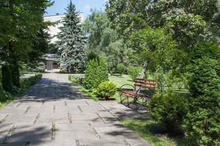 Внешний вид