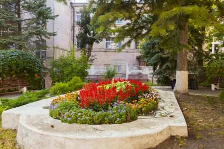 Санаторий_Здоровье_территория (2)