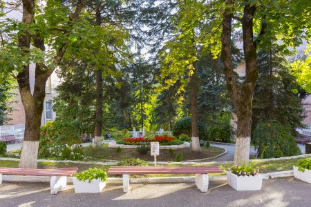 Санаторий_Здоровье_территория (2)