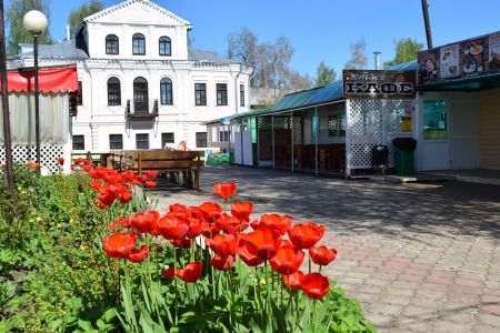 Внешний вид