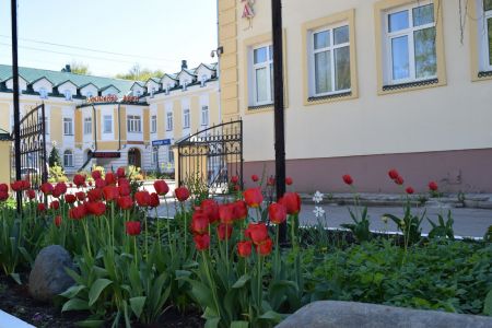 Внешний вид