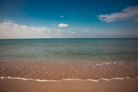 Внешний вид. Корпус