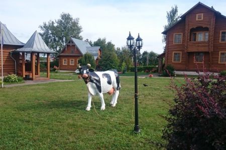 Территория