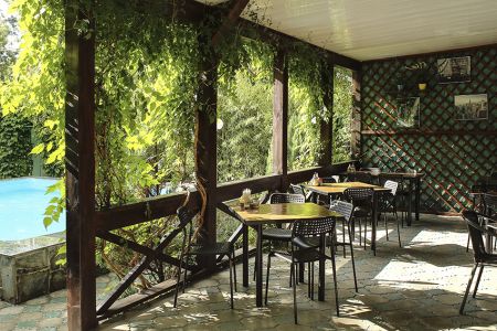 Внешний вид