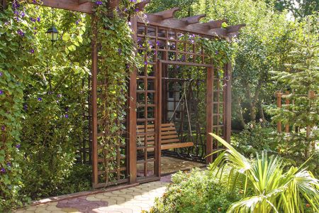 Внешний вид