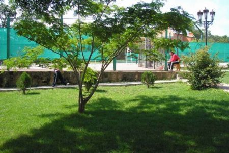 Внешний вид