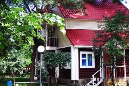 Внешний вид