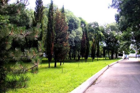 Территория