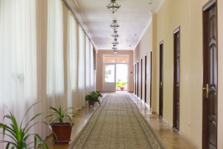 Санаторий_Кирова_территория  (6)