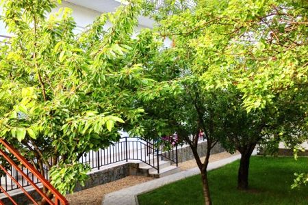 Внешний вид