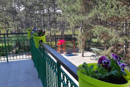 Территория