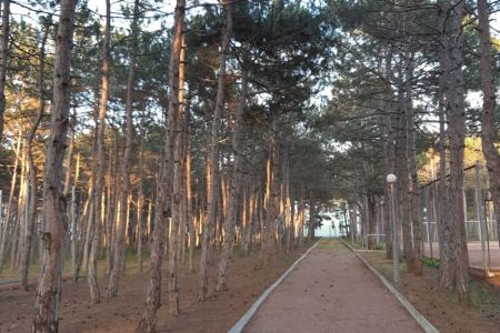 Территория