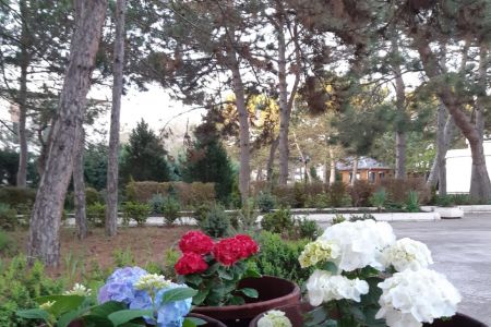 Территория