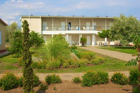 Внешний вид