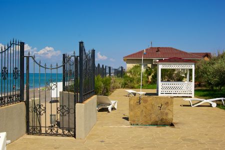 Внешний вид