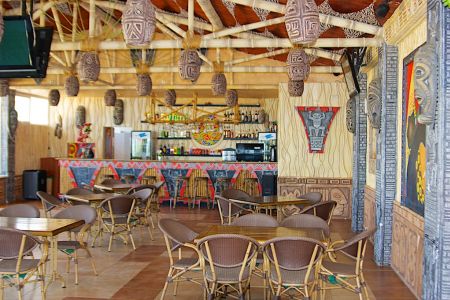 Внешний вид