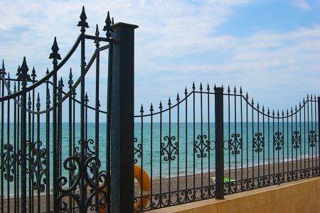 Внешний вид