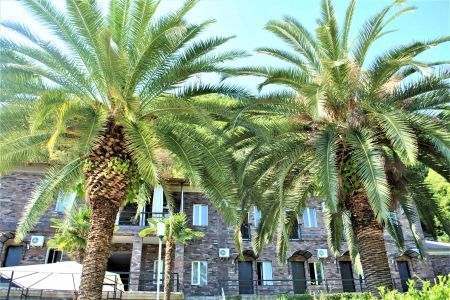 Главный корпус