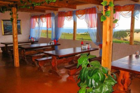 Внешний вид