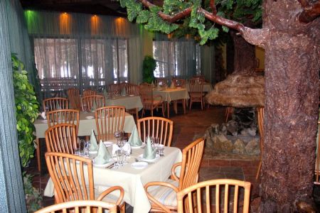 Внешний вид