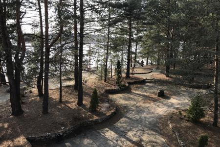 Внешний вид