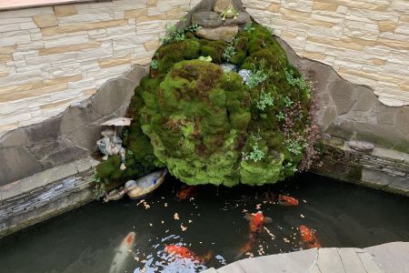 Внешний вид